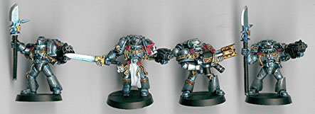 Chevaliers gris